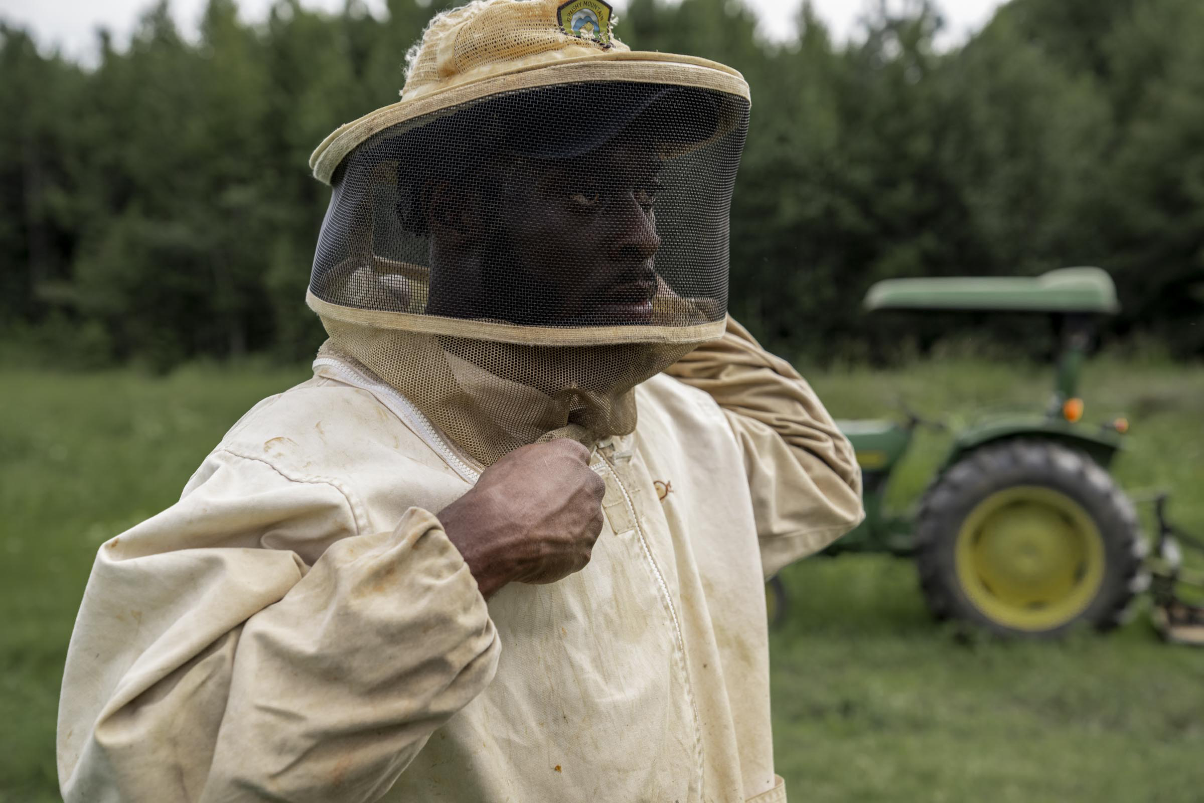 05_bees_3799